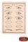 ТК05 Тренировочный коврик (брови пореснично,губы,глаза,брови растушевка)